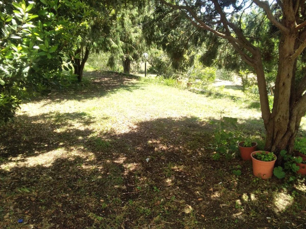 B&B Daillu Olbia Exterior photo